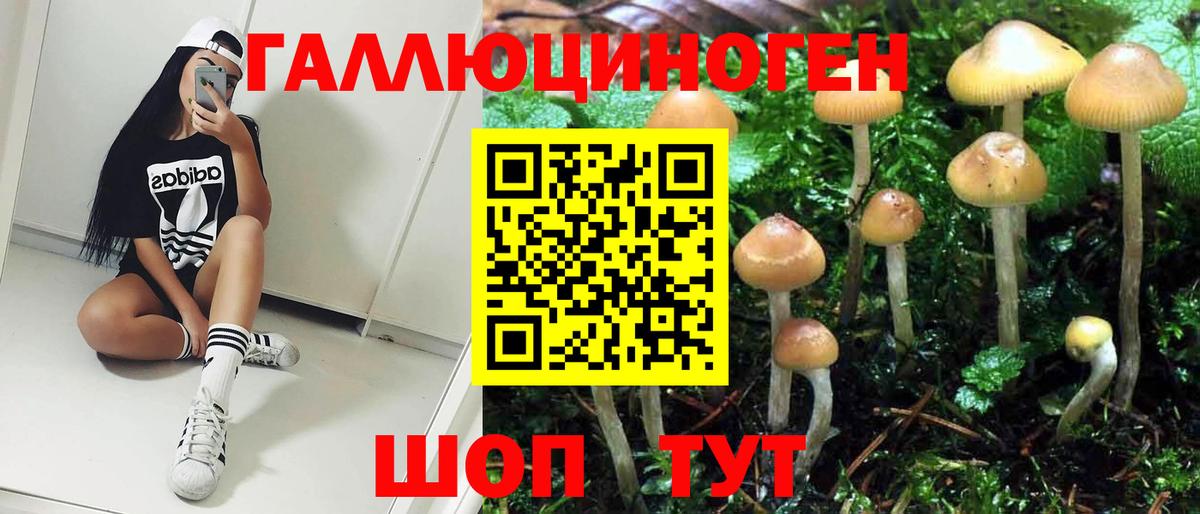 Псилоцибиновые грибы ЛСД Советская Гавань