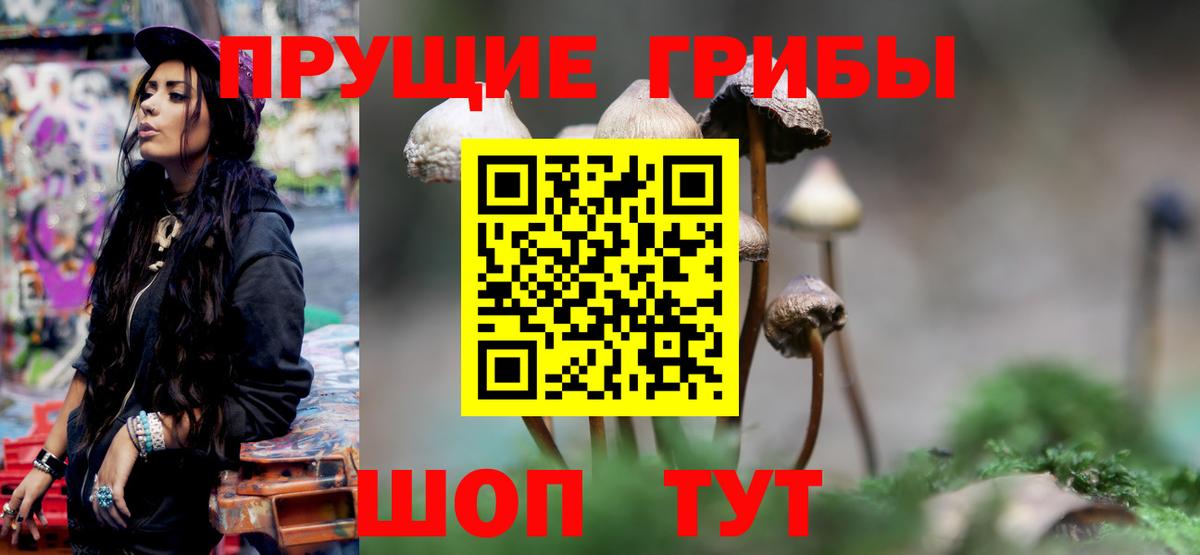 Советская Гавань  Псилоцибиновые грибы Cubensis  продажа наркотиков  Вход с VPN  Галлюциногенные грибы Magic Shrooms 